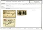 Karteikarte zum Holotyp von Discorbina globularis Karrer, 1877